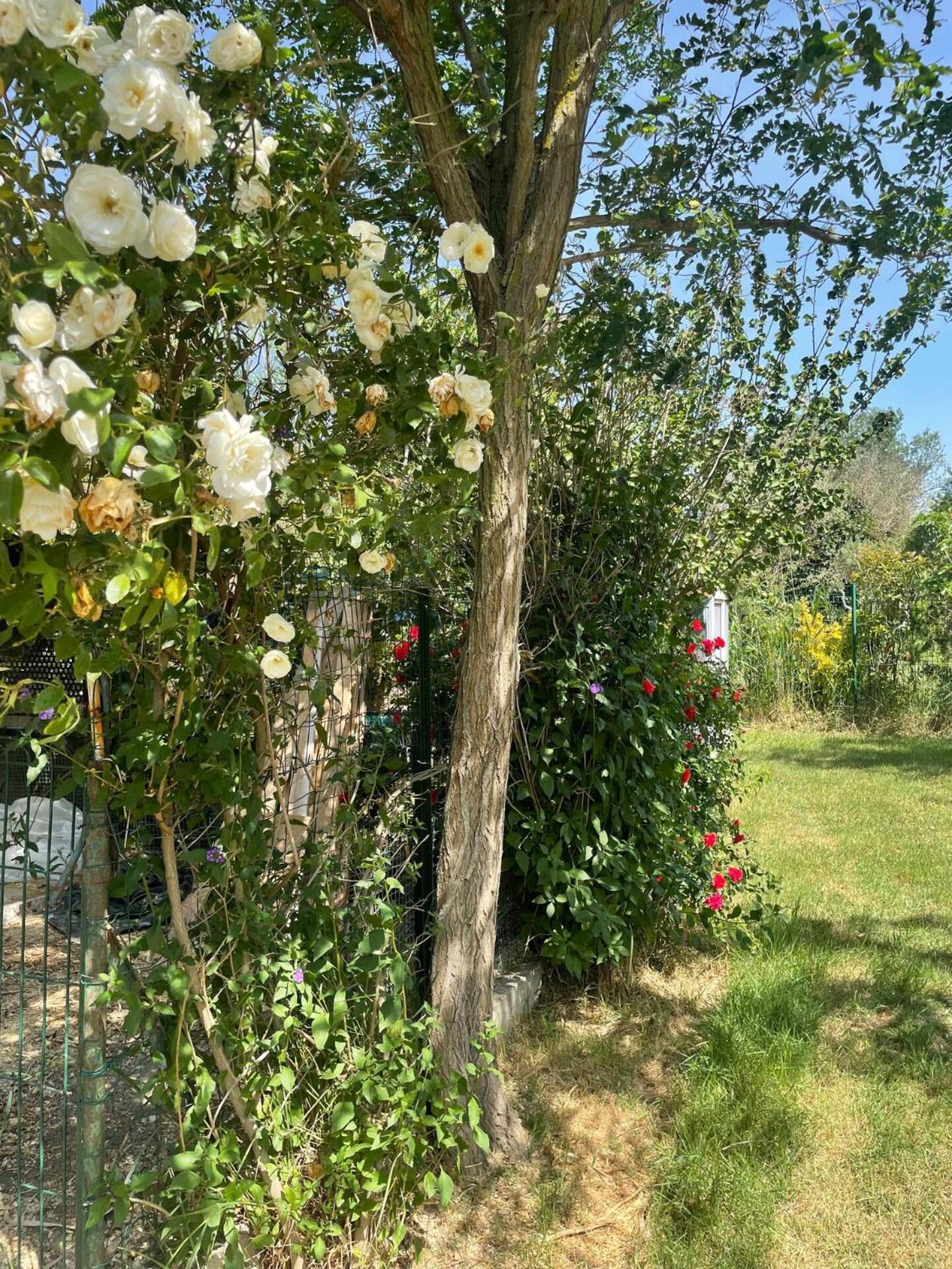 Mas Provencal De 120M2 En Camargue, Avec Piscine Et Parking Inclus, Ideal Pour Des Vacances Arles Exterior foto